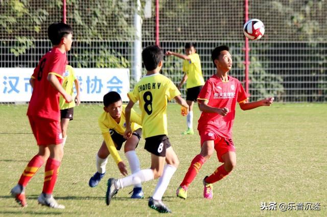  青训体系成果初现，本土新秀闪耀赛场